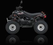 2009 Kreidler Mustang 50 photo
